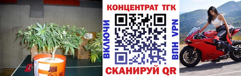 ТГК жижа Грязовец