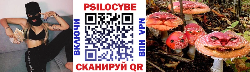 Галлюциногенные грибы Magic Shrooms Грязовец